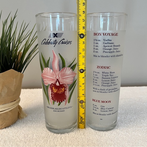 2 Carnival Cruise Line Cocktail Beverage Glasses - Picture 3 of 4